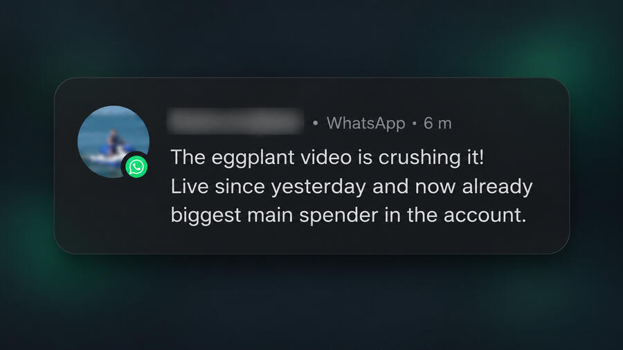 WhatsApp client feedback complimenting the quality of the work